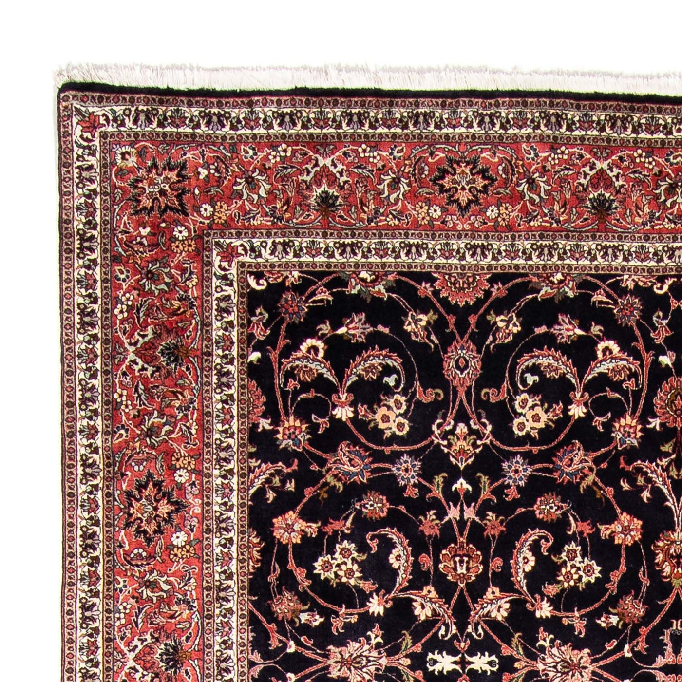 Bidjar Rug 350x257cm - Persian Rugs