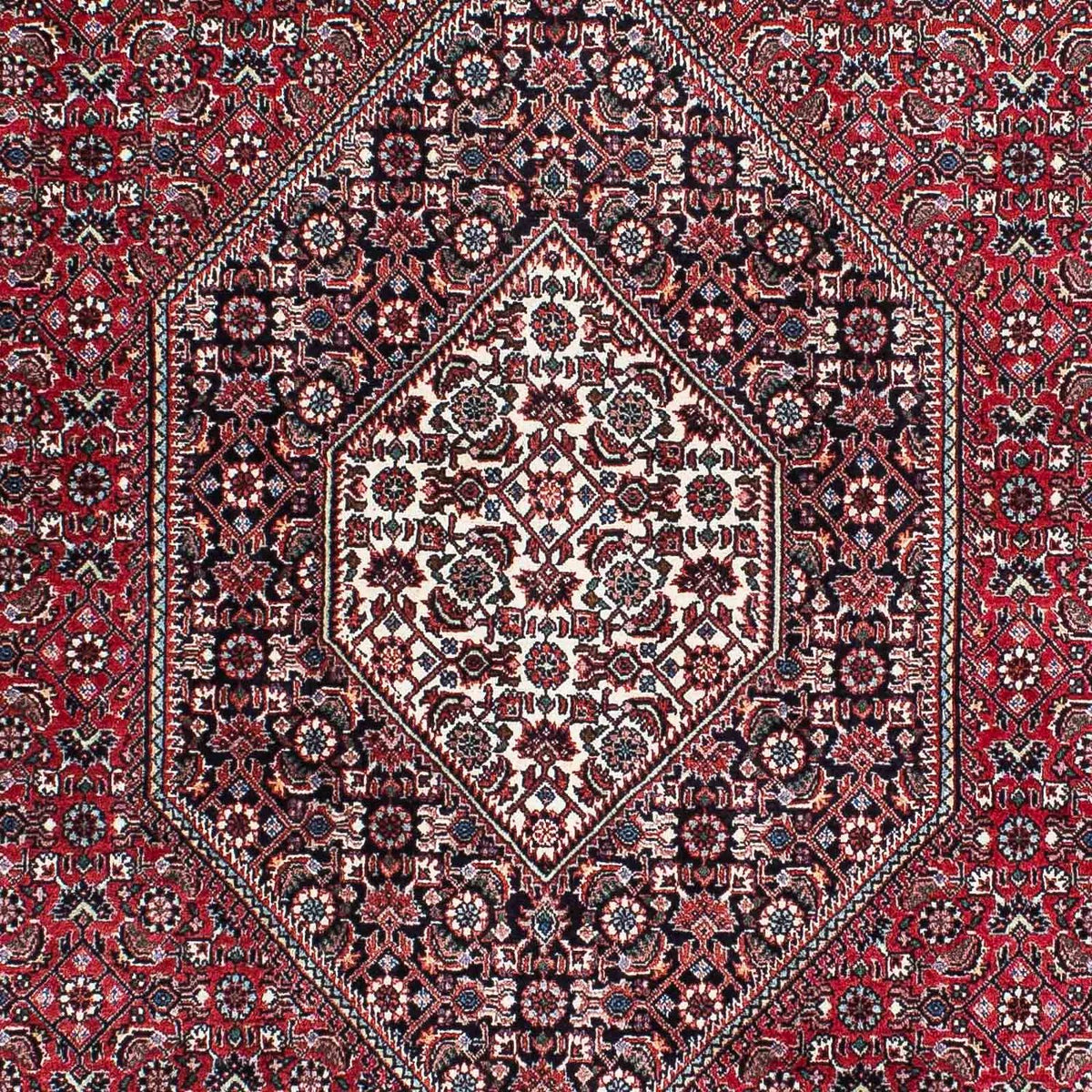 Perser Rug - Bidjar - 209 x 128 cm - red