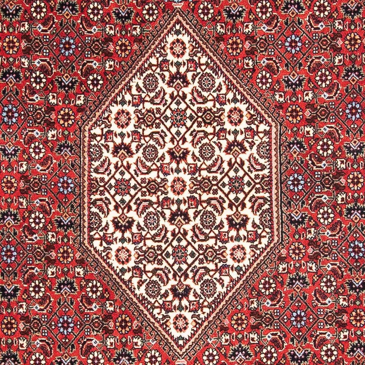 Perser Rug - Bidjar - 176 x 110 cm - light red