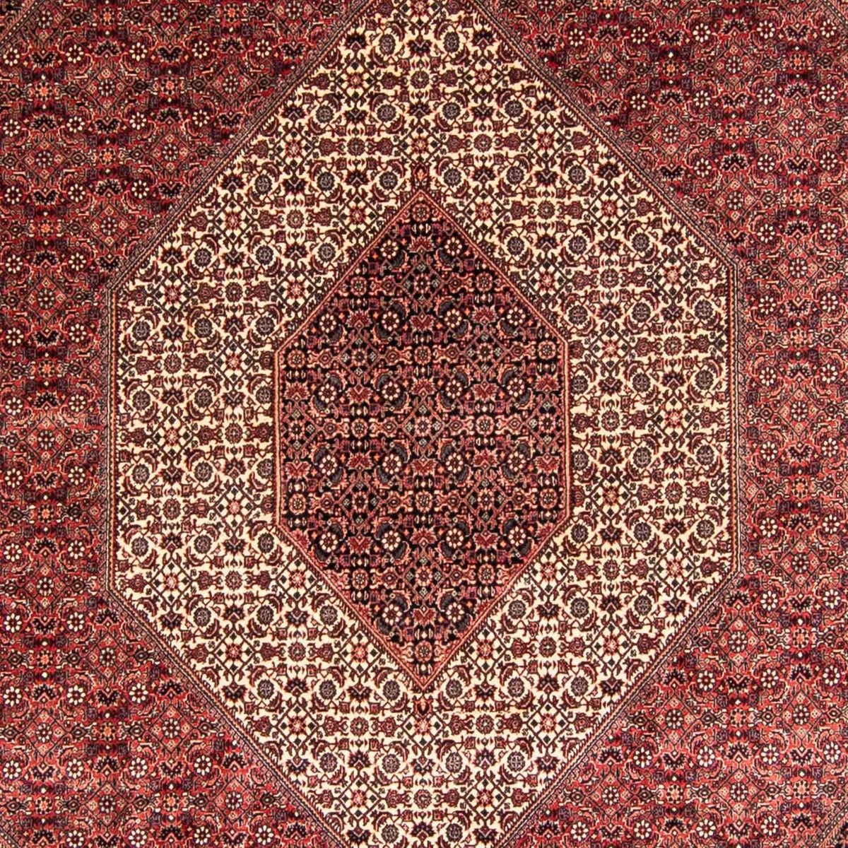 Perser Rug - Bidjar - 340 x 252 cm - light red