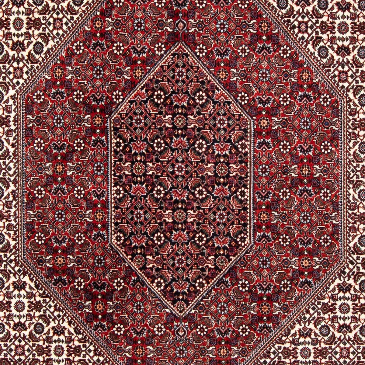 Perser Rug - Bidjar - 241 x 170 cm - dark red
