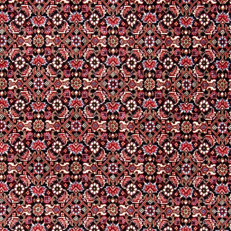 Perser Rug - Bidjar - 250 x 168 cm - red