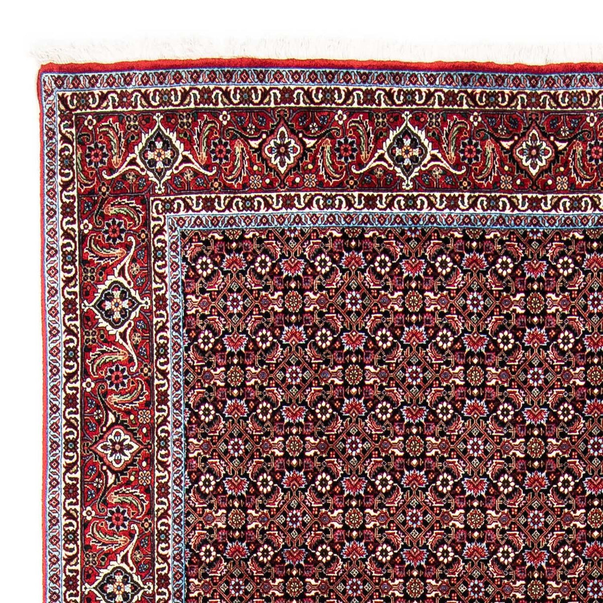 Perser Rug - Bidjar - 250 x 168 cm - red