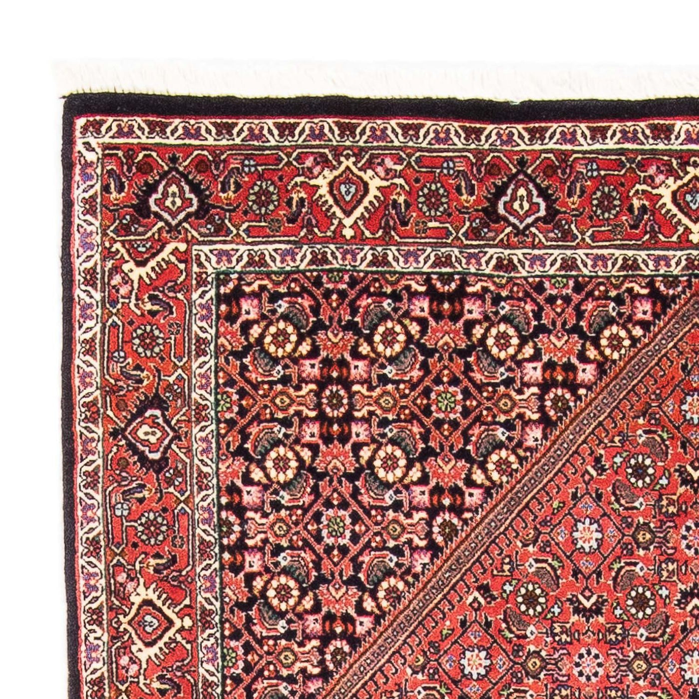 Bidjar Rug 179x108cm - Persian Rugs