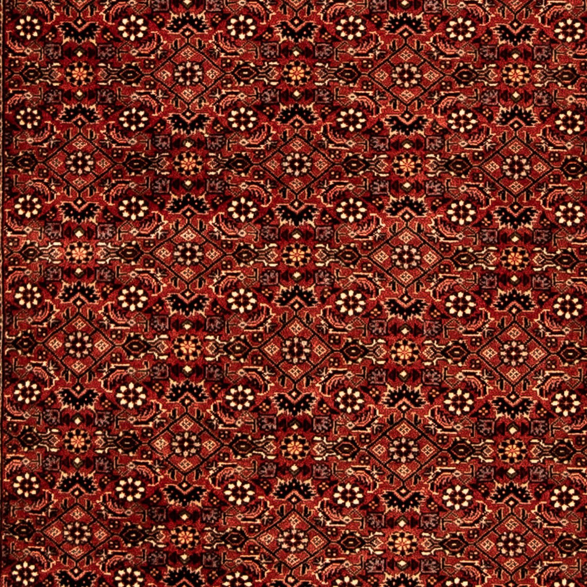 Runner Perser Rug - Bidjar - 293 x 84 cm - dark red