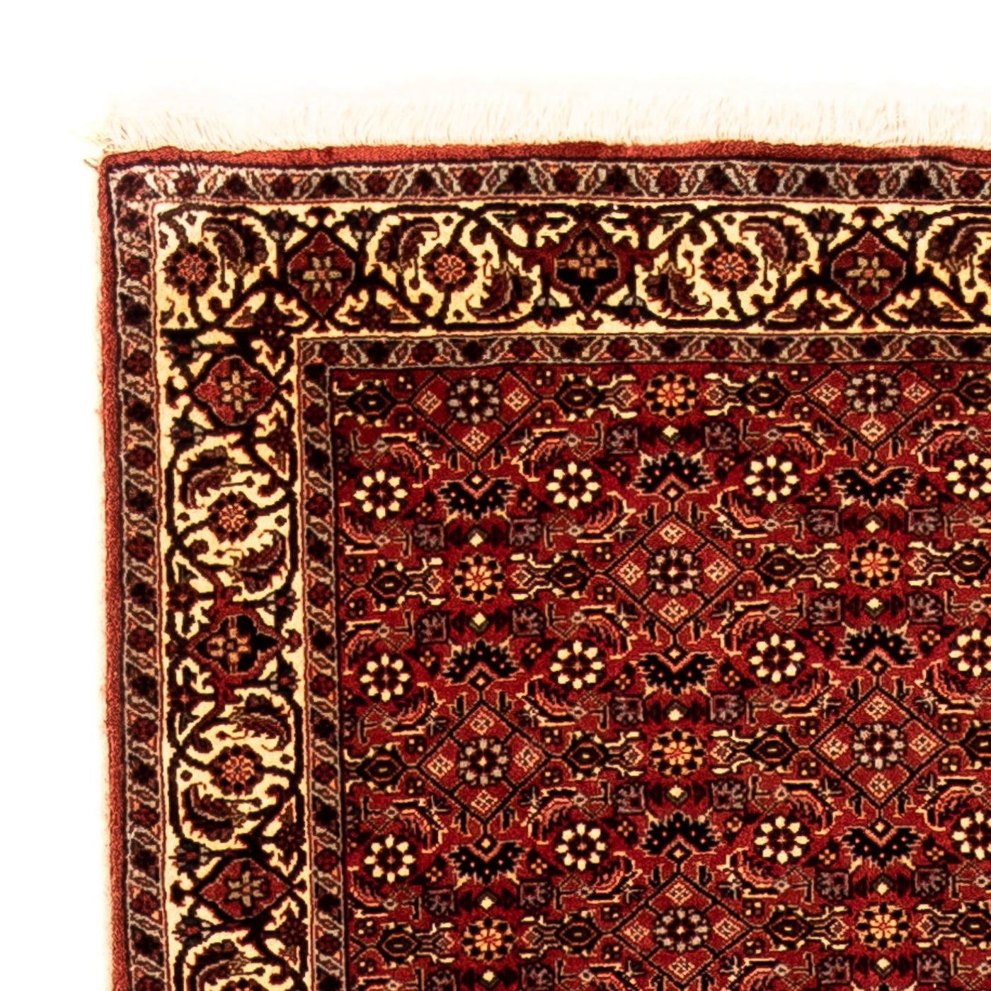 Bidjar Rug 293x84cm - Persian Rugs