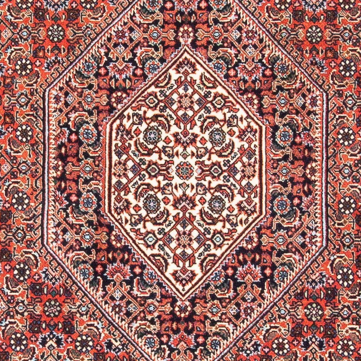 Perser Rug - Bidjar - 145 x 91 cm - light red