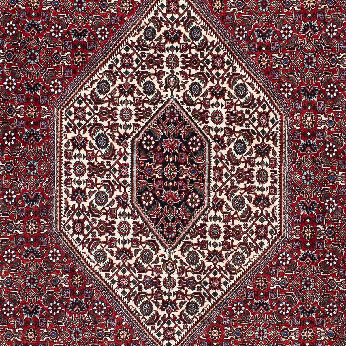 Perser Rug - Bidjar - 212 x 132 cm - light red