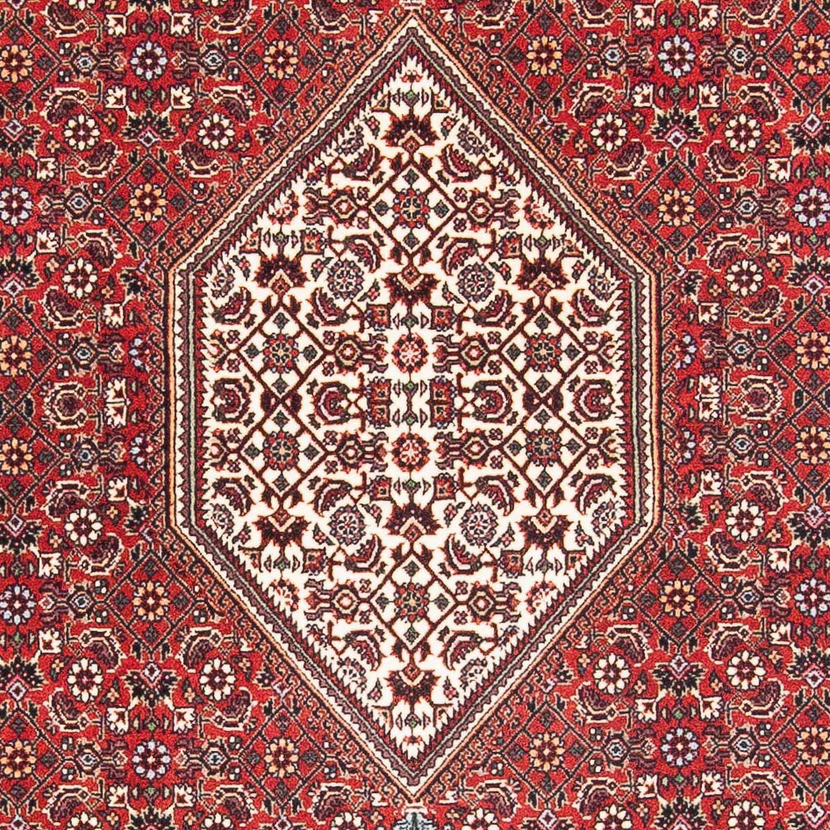 Perser Rug - Bidjar - 174 x 112 cm - light red