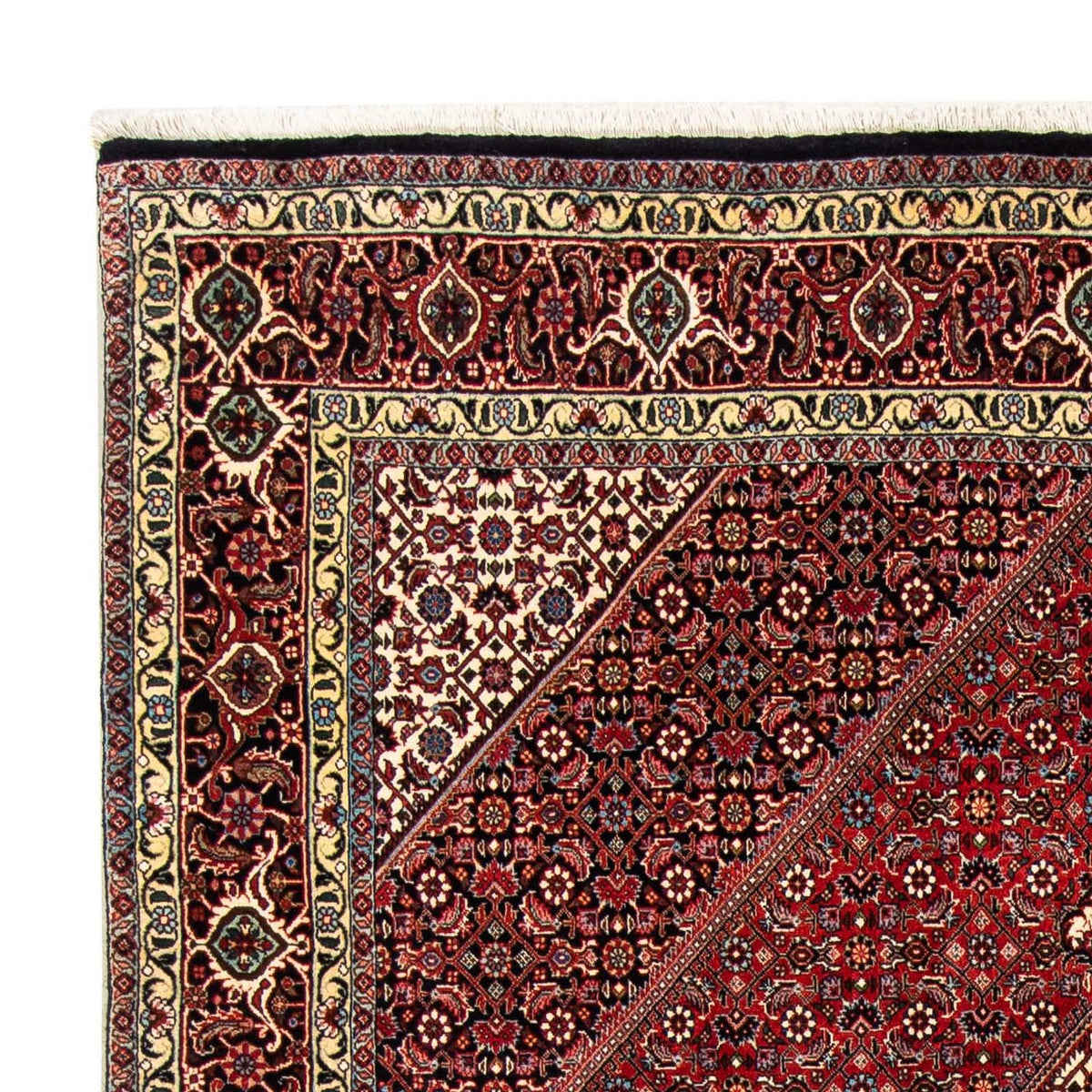 Bidjar Rug 170x252cm - Persian Rugs