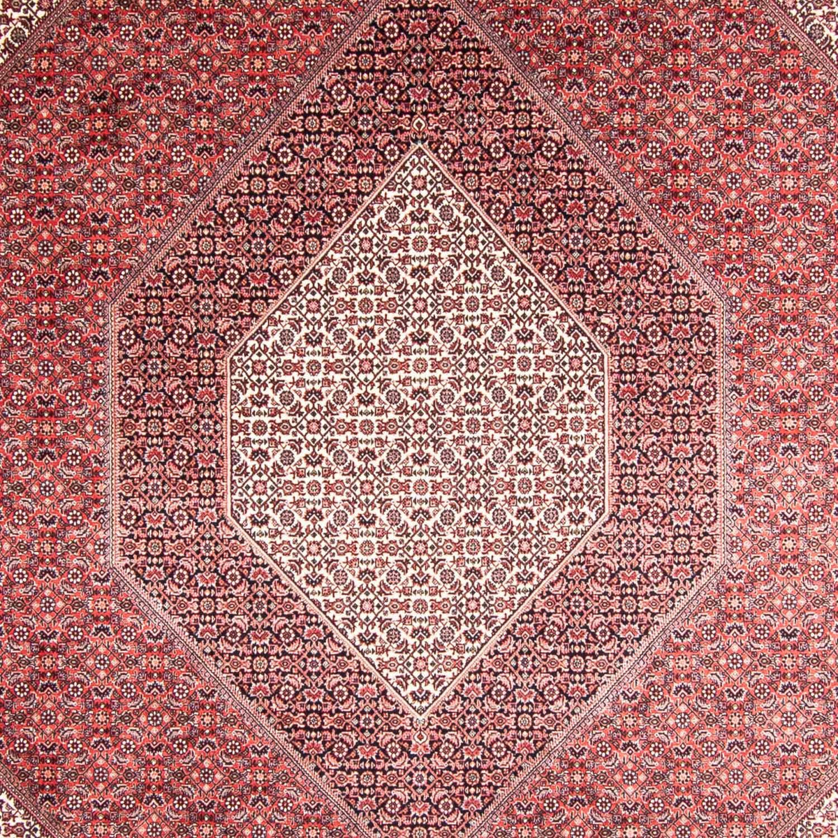 Perser Rug - Bidjar - 355 x 248 cm - light red