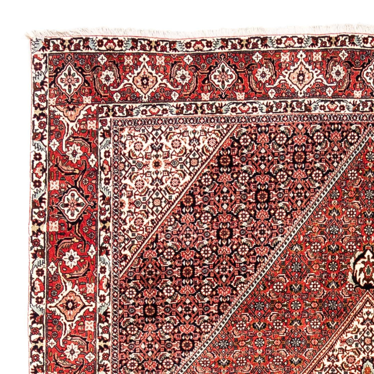 Perser Rug - Bidjar - 285 x 195 cm - red