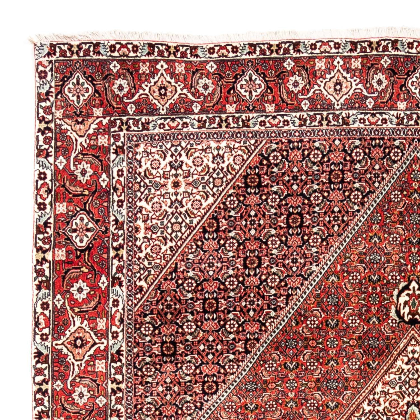 Bidjar - Takab Rug 285x195cm - Persian Rugs