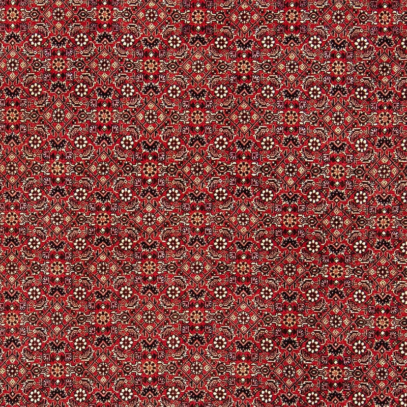Perser Rug - Bidjar - 248 x 174 cm - red