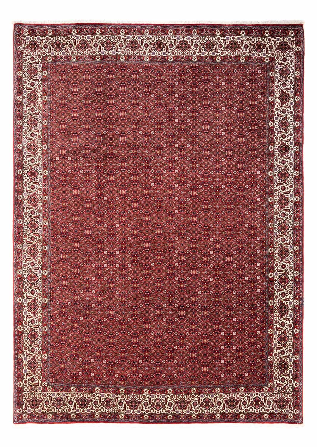 Perser Rug - Bidjar - 340 x 252 cm - red