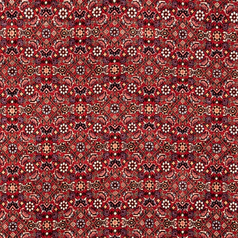 Perser Rug - Bidjar - 340 x 252 cm - red