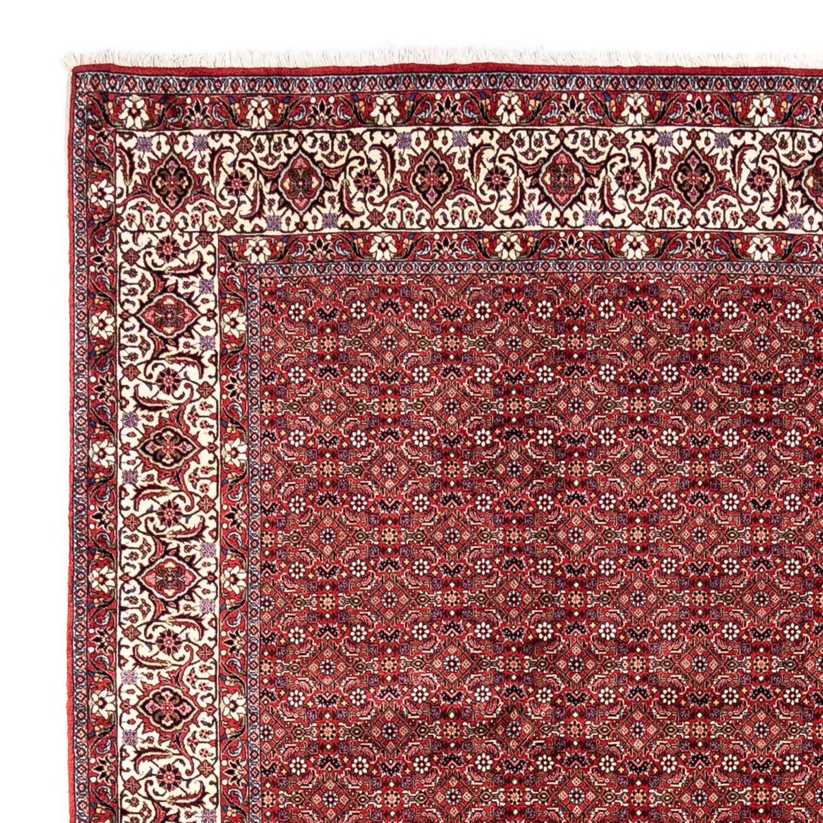 Perser Rug - Bidjar - 340 x 252 cm - red