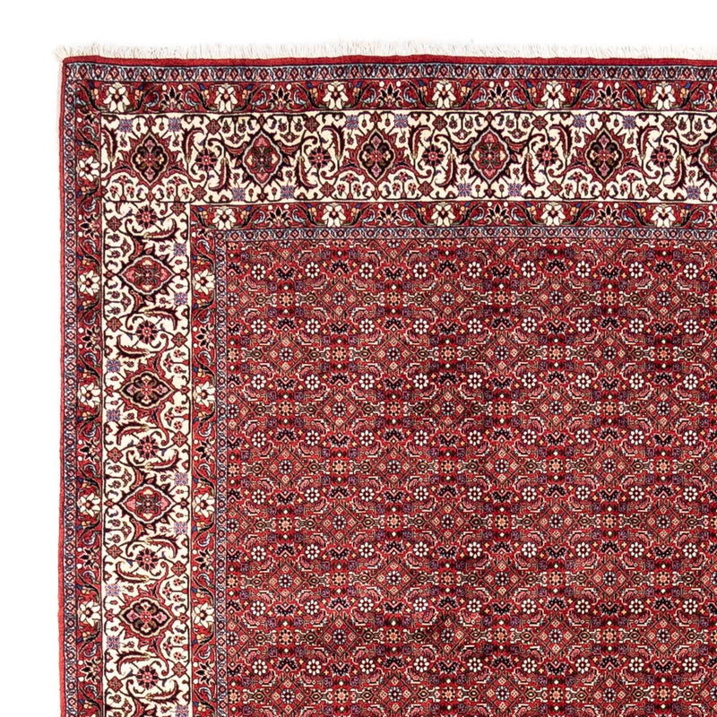 Perser Rug - Bidjar - 340 x 252 cm - red