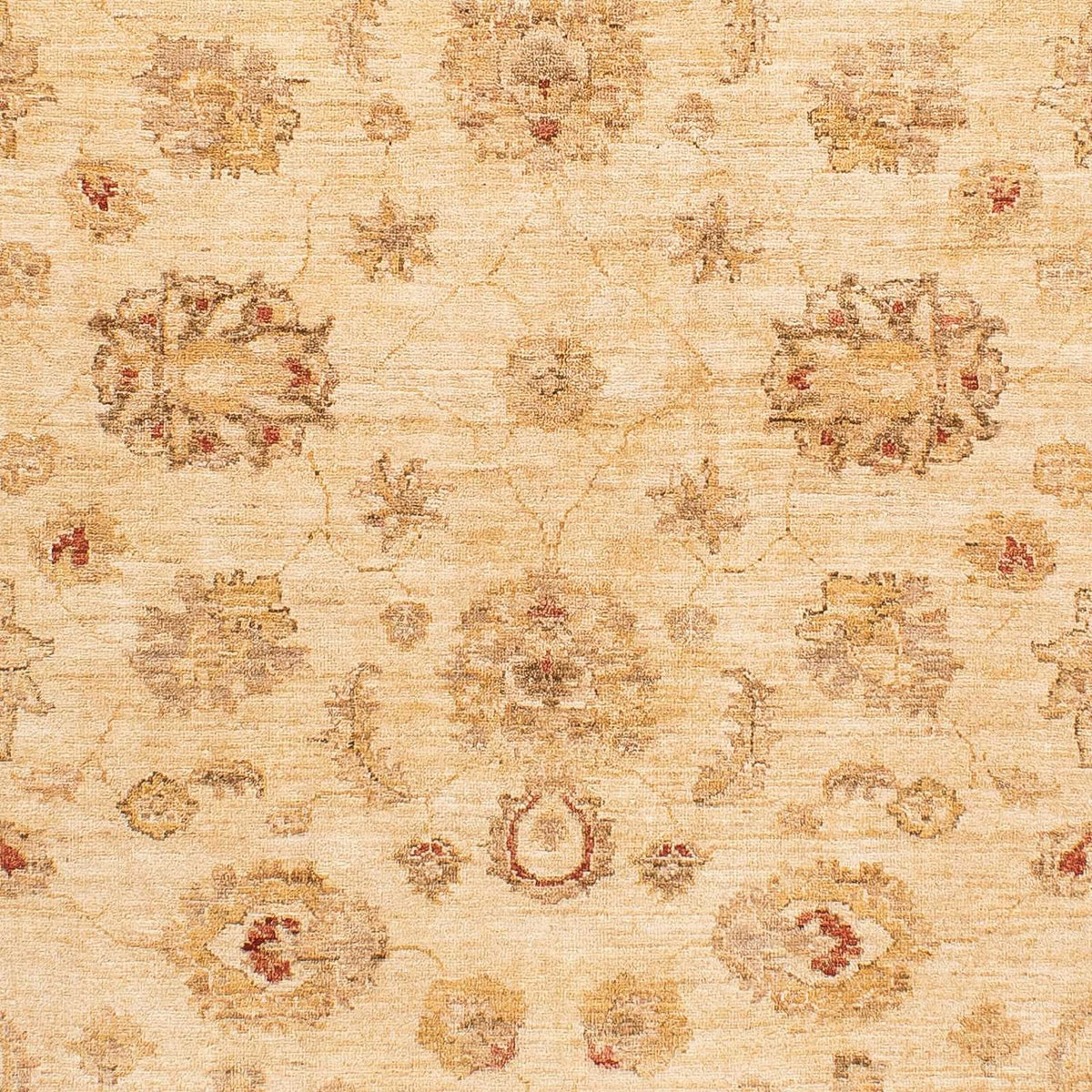 Ziegler Rug - 229 x 168 cm - light brown