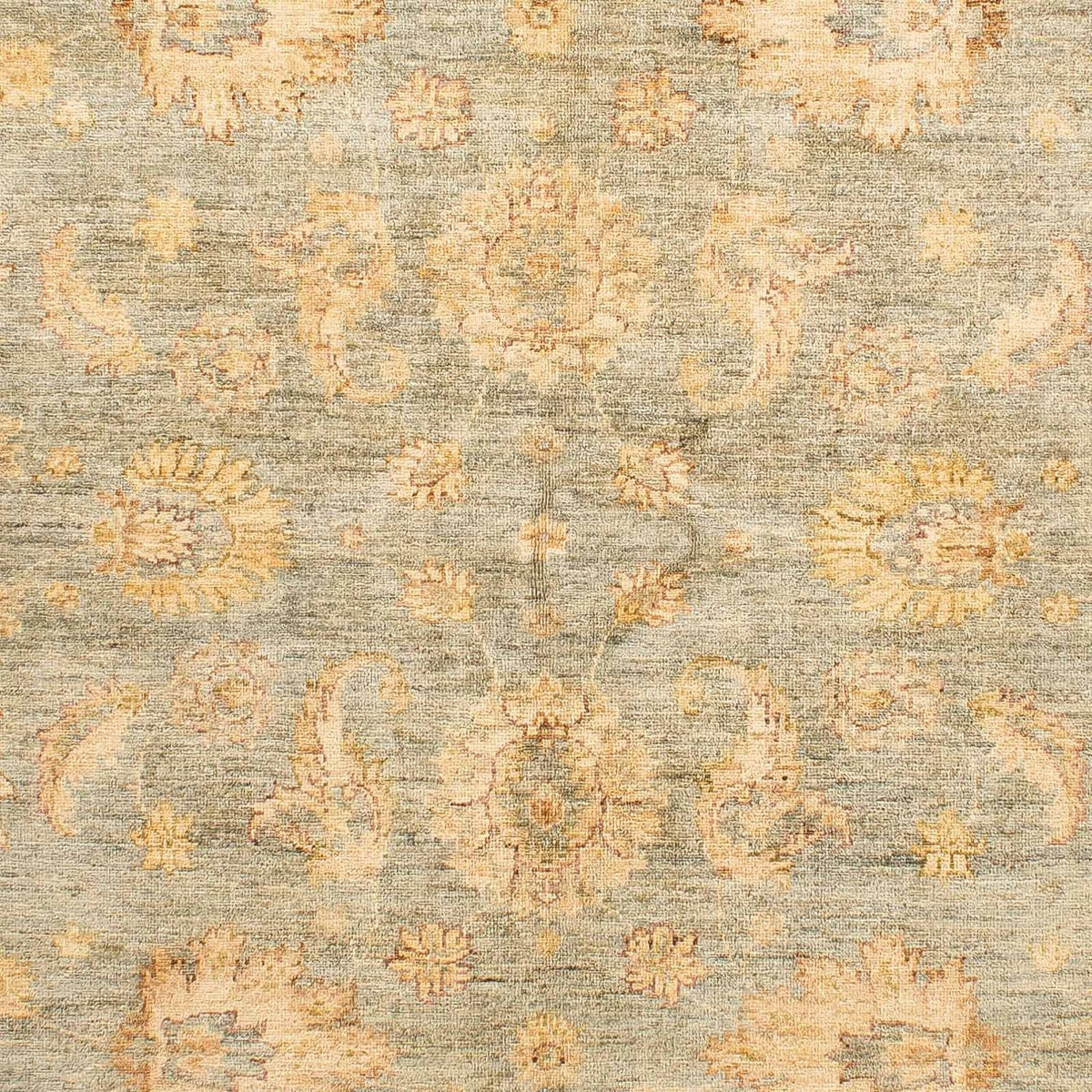 Ziegler Rug - 234 x 173 cm - light brown