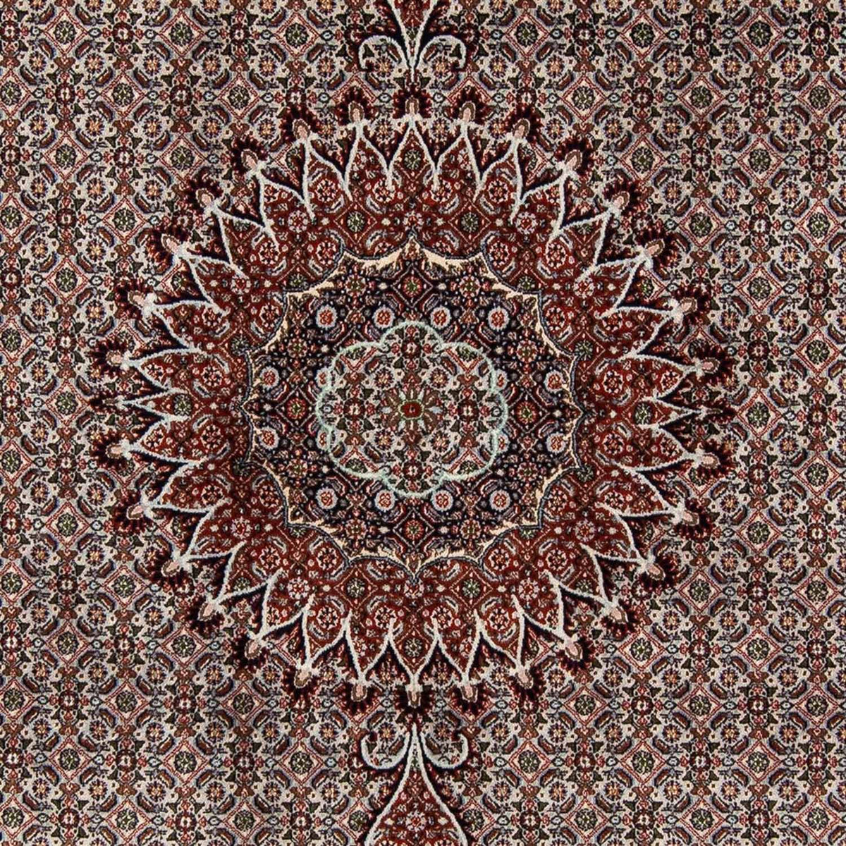 Perser Rug - Classic - 284 x 201 cm - beige