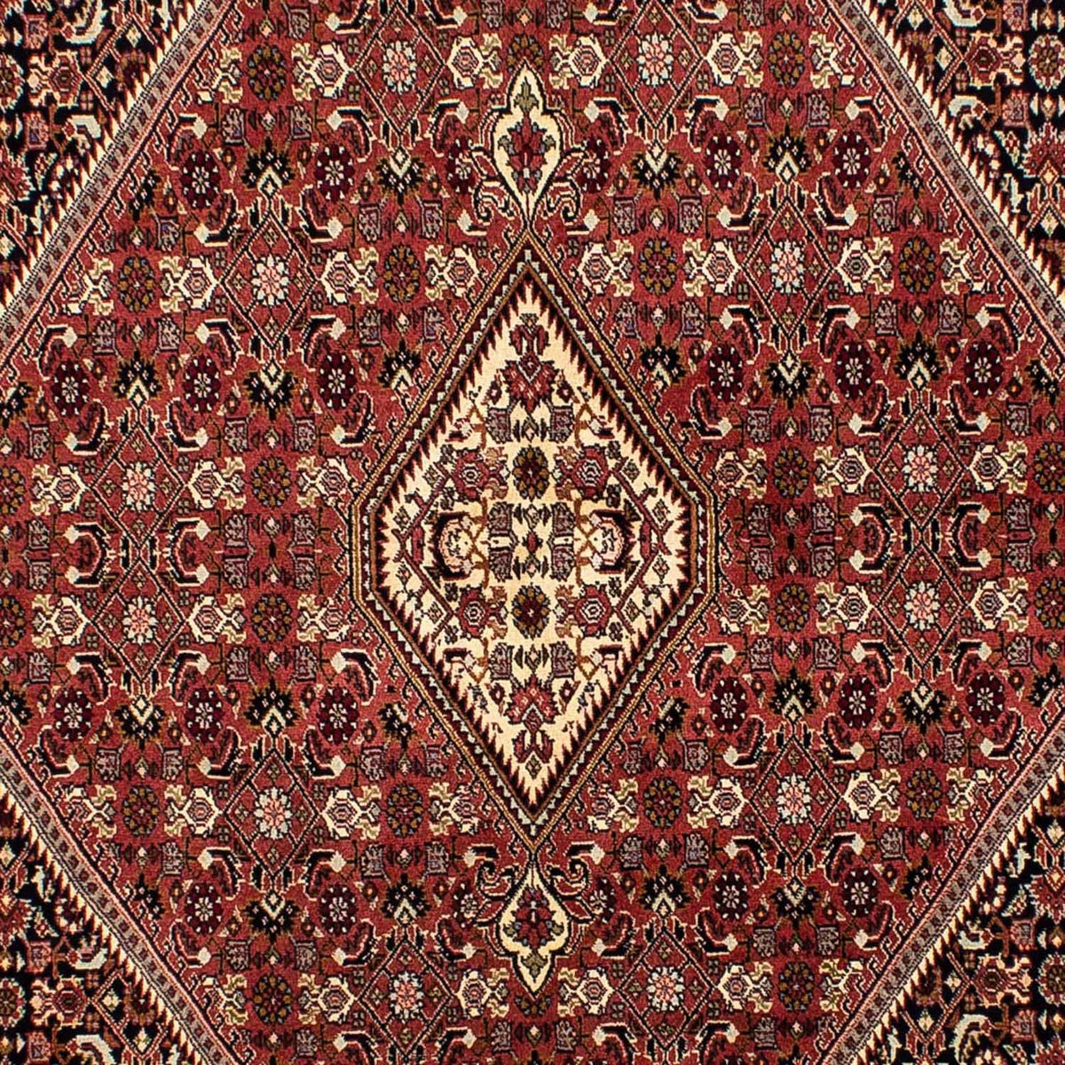 Perser Rug - Bidjar - 254 x 176 cm - brown