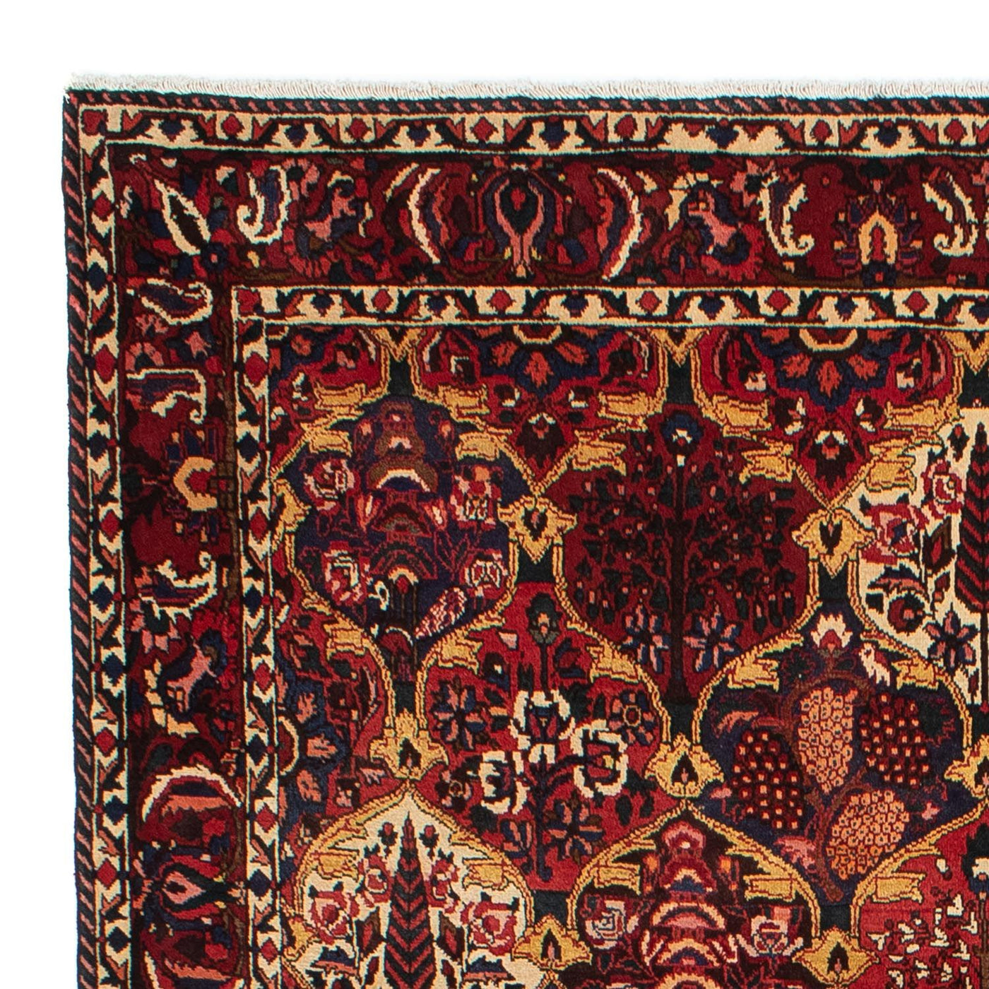 Bakhtiari Rug 305x211cm - Persian Rugs