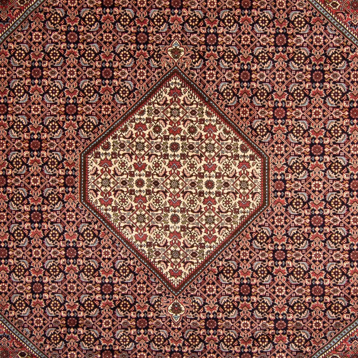 Perser Rug - Bidjar - 340 x 252 cm - brown
