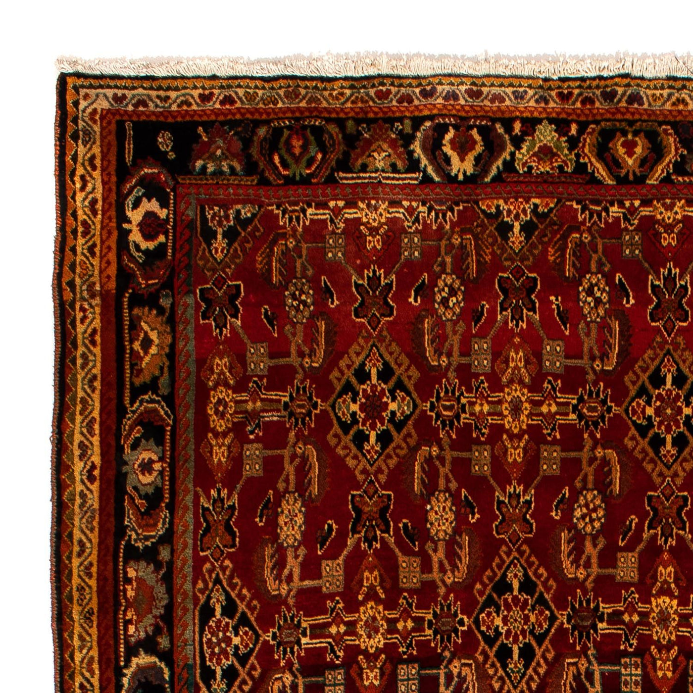 Qashqai Rug 308x212cm - Persian Rugs