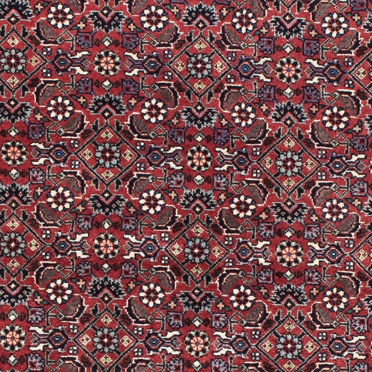 Perser Rug - Bidjar - 193 x 176 cm - red