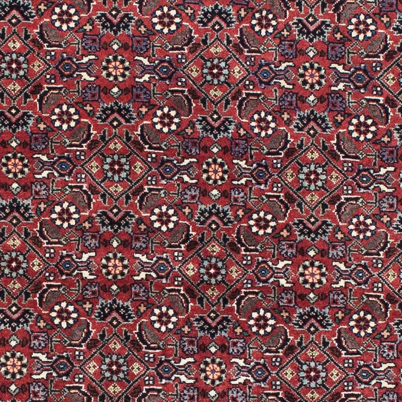 Perser Rug - Bidjar - 193 x 176 cm - red