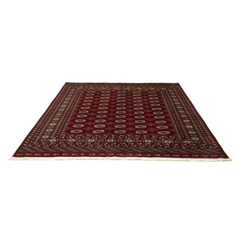 Afghan Rug - Bukhara square  - 203 x 199 cm - red
