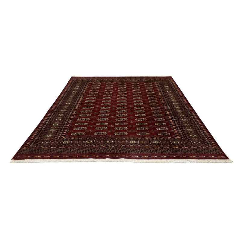Afghan Rug - Bukhara - 244 x 198 cm - red