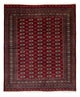 Bukhara Rug 247x201cm - Oriental Rug