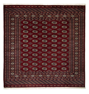 Afghan Rug - Bukhara square  - 207 x 204 cm - red