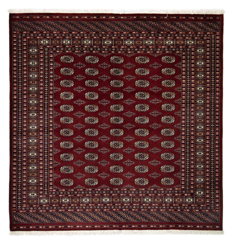 Afghan Rug - Bukhara square  - 207 x 204 cm - red