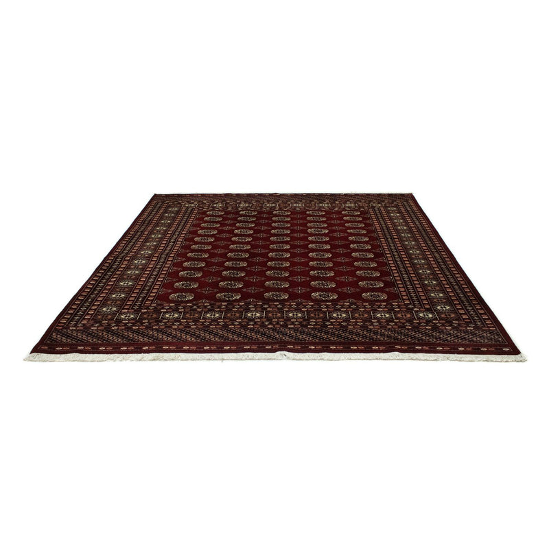 Afghan Rug - Bukhara square  - 207 x 204 cm - red