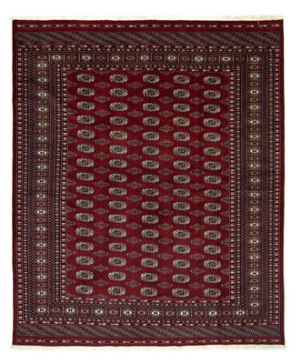 Afghan Rug - Bukhara - 240 x 200 cm - red