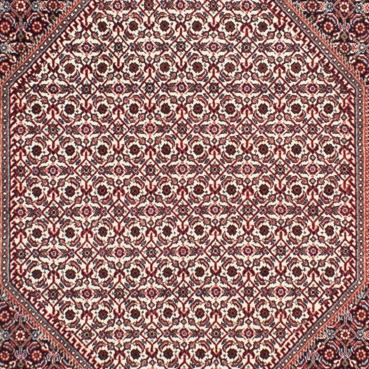 Runner Perser Rug - Bidjar - 318 x 83 cm - beige