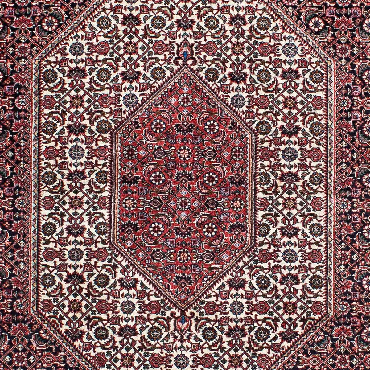 Perser Rug - Bidjar - 211 x 132 cm - light red