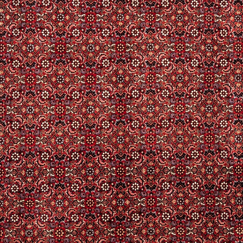 Perser Rug - Bidjar - 350 x 252 cm - red