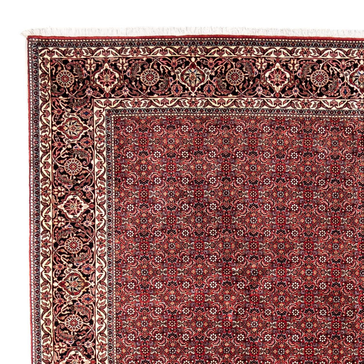 Perser Rug - Bidjar - 350 x 252 cm - red