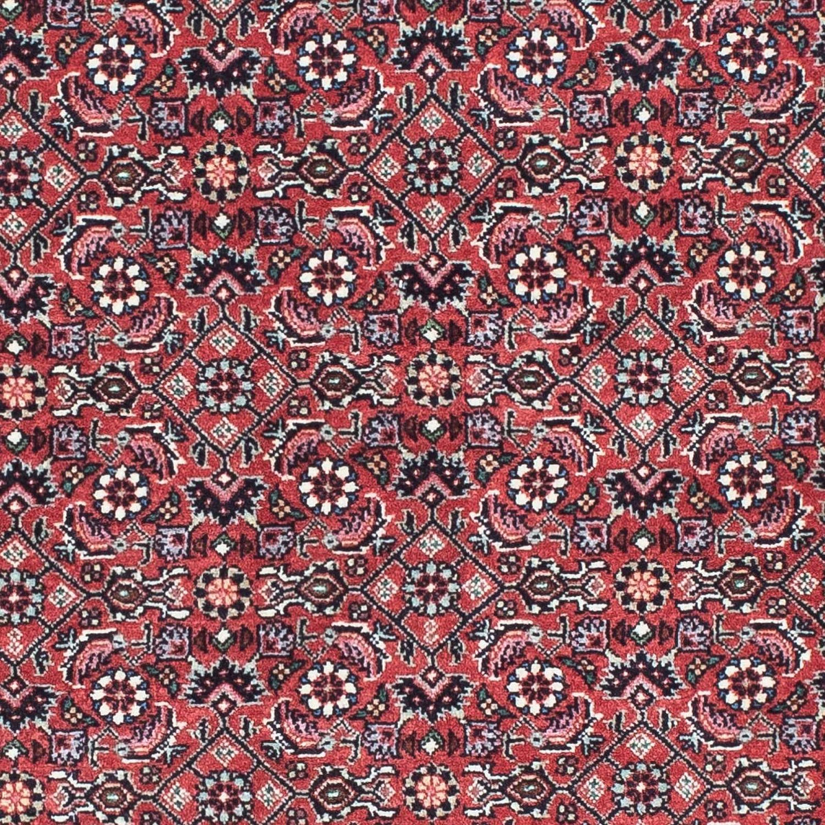 Runner Perser Rug - Bidjar - 193 x 76 cm - red