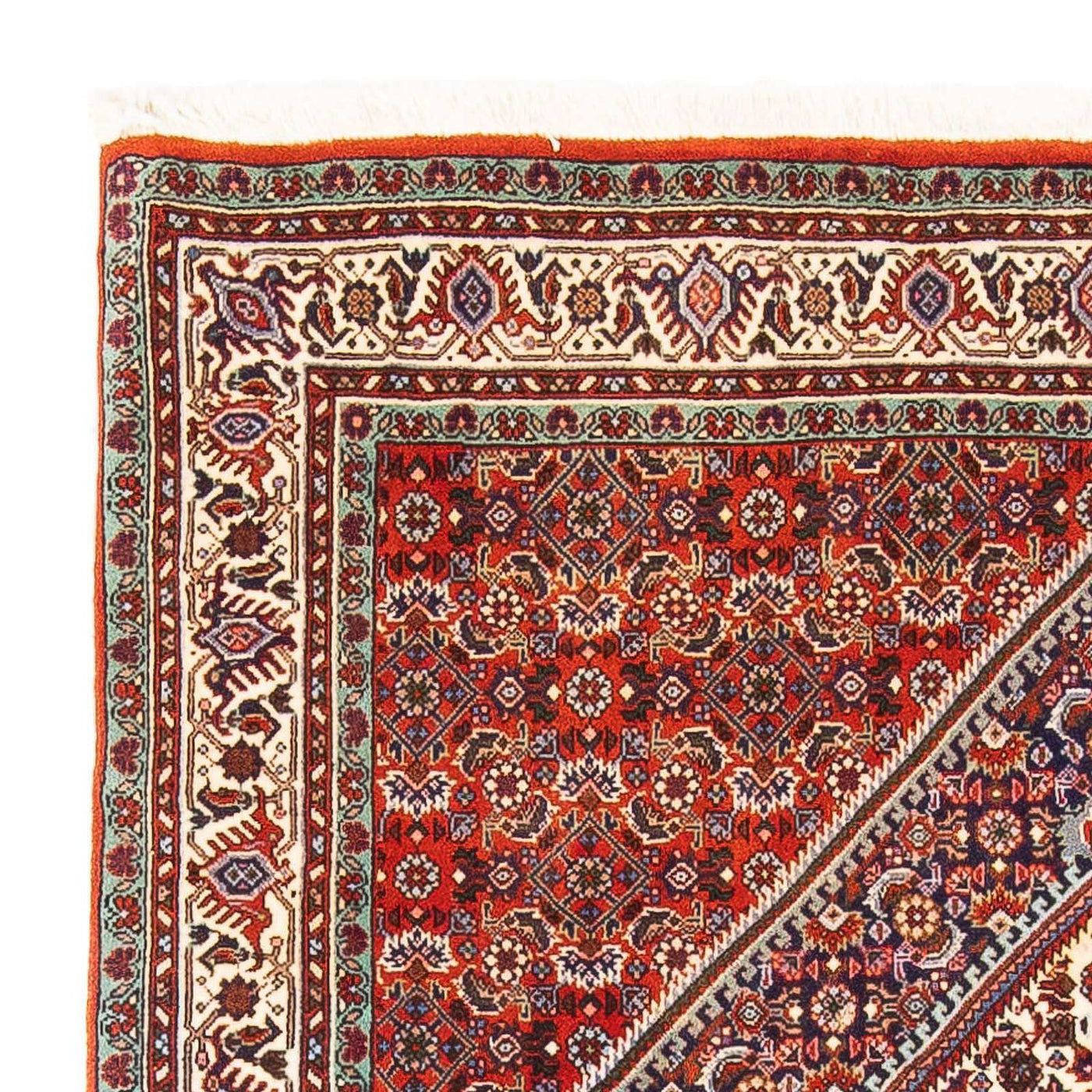 Bidjar Rug 164x110cm - Persian Rugs