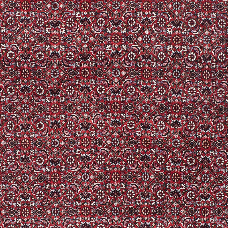 Perser Rug - Bidjar - 209 x 134 cm - light red