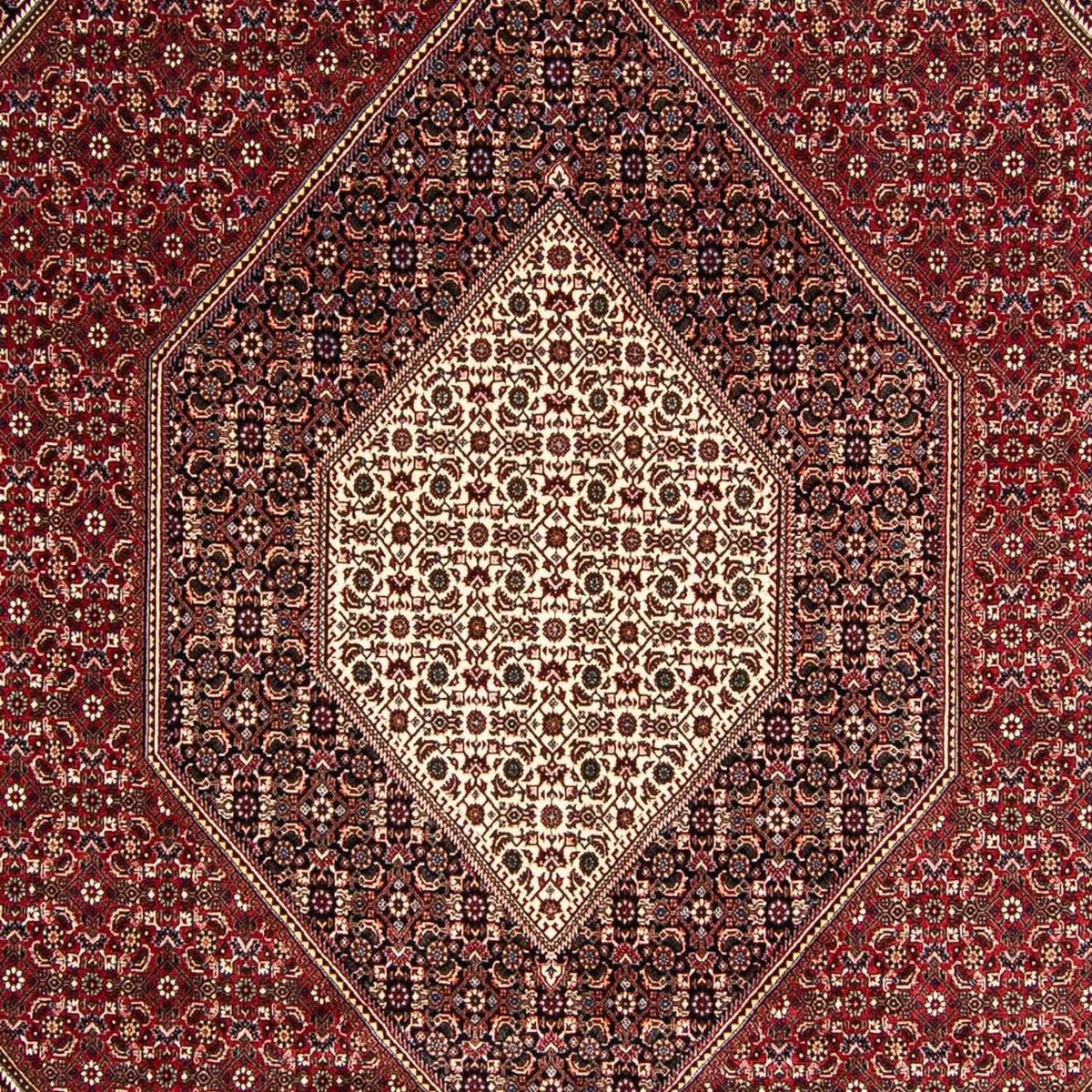 Perser Rug - Bidjar - 349 x 245 cm - light red
