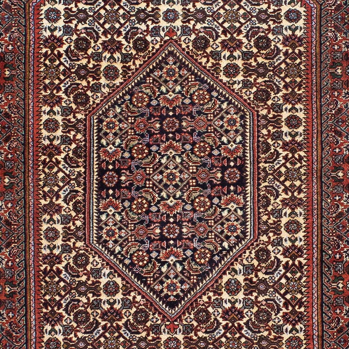 Perser Rug - Bidjar - 213 x 134 cm - multicolored