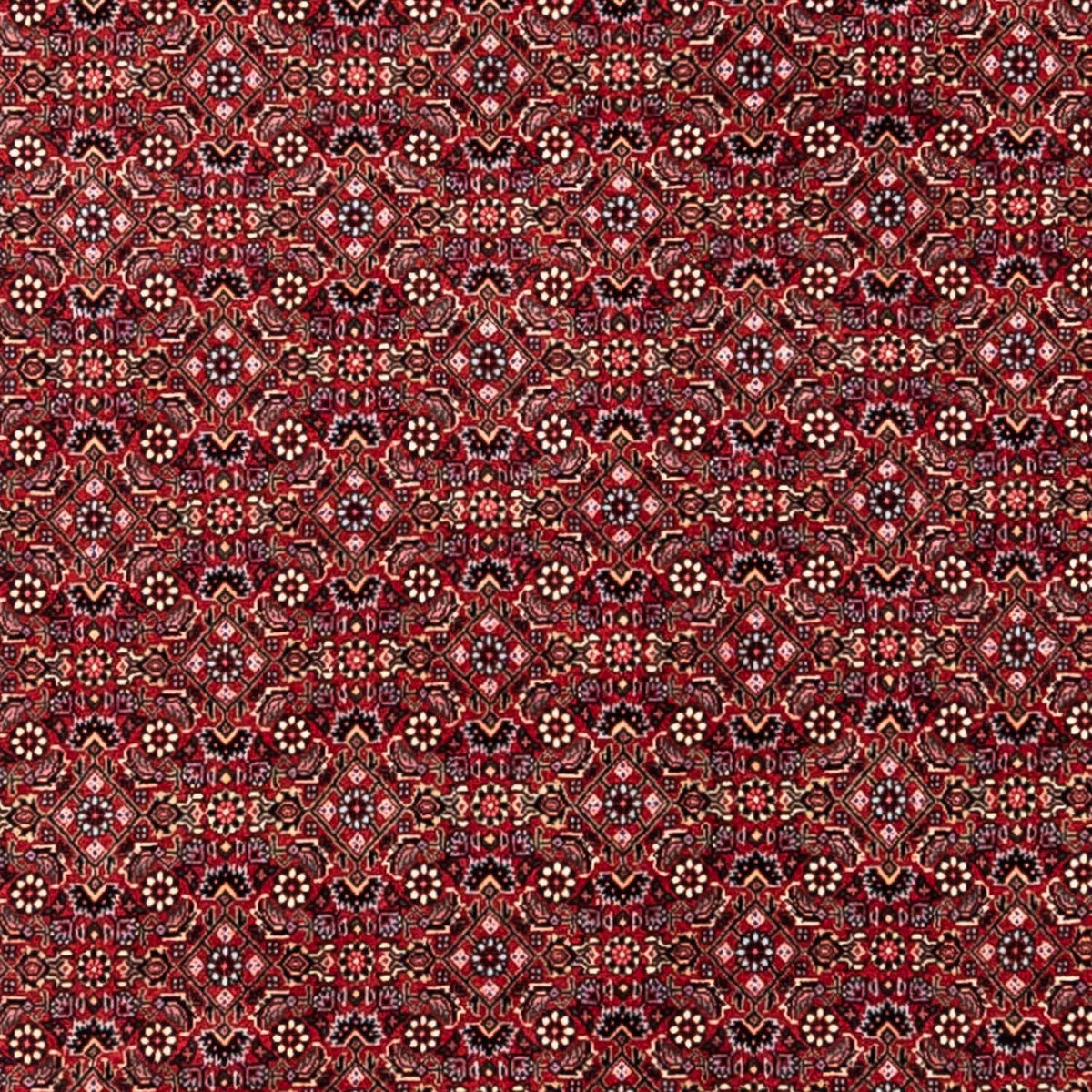 Perser Rug - Bidjar - 338 x 252 cm - red