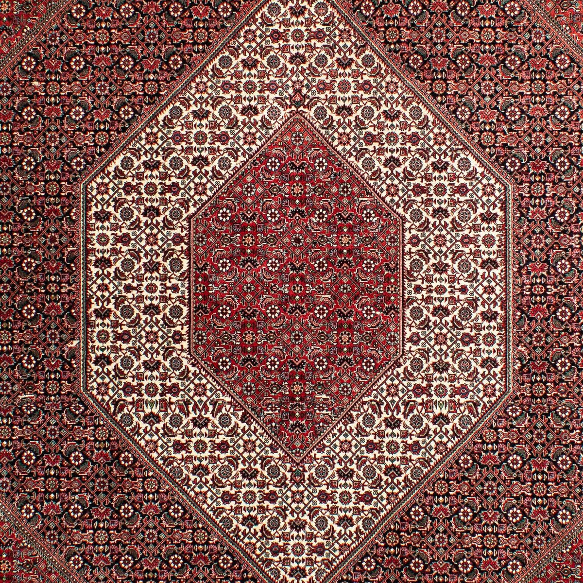 Perser Rug - Bidjar - 293 x 203 cm - light red