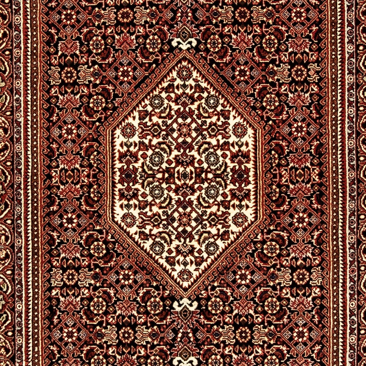 Runner Perser Rug - Bidjar - 225 x 69 cm - multicolored
